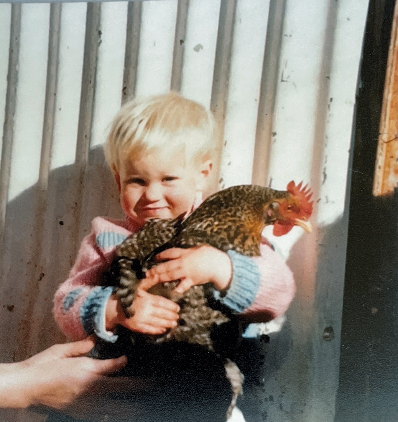 Penny and pet chooks about 18 months old